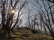 Sentieri fioriti sopra casa ad anello-Zogno-28mar22 - FOTOGALLERY